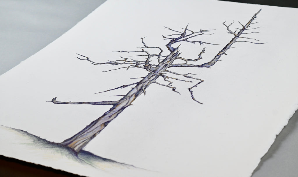 Bandon Dunes - "Ghost Tree"