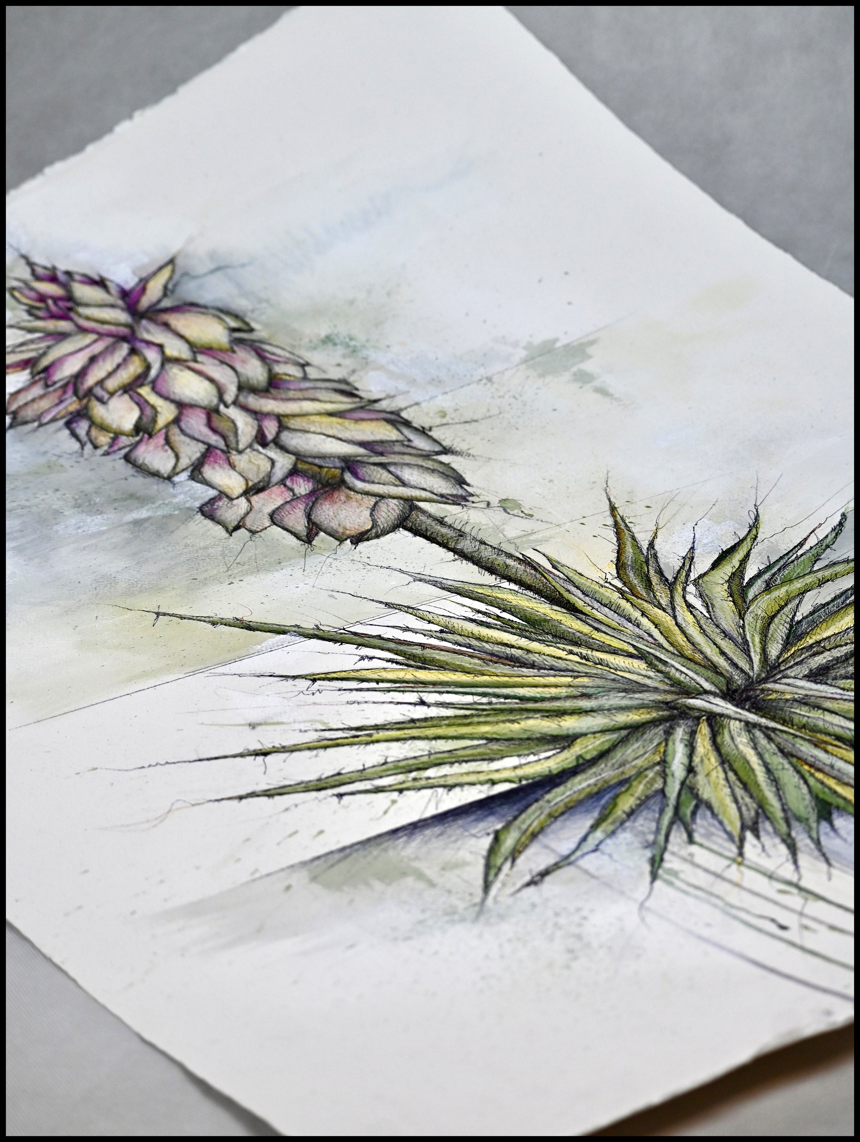 Prairie Dunes - "Yucca"