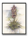 Prairie Dunes - "Yucca"