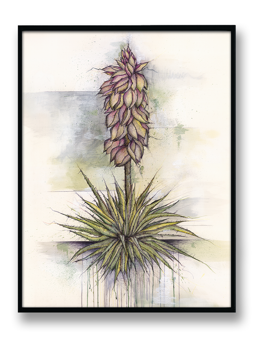 Prairie Dunes - "Yucca"