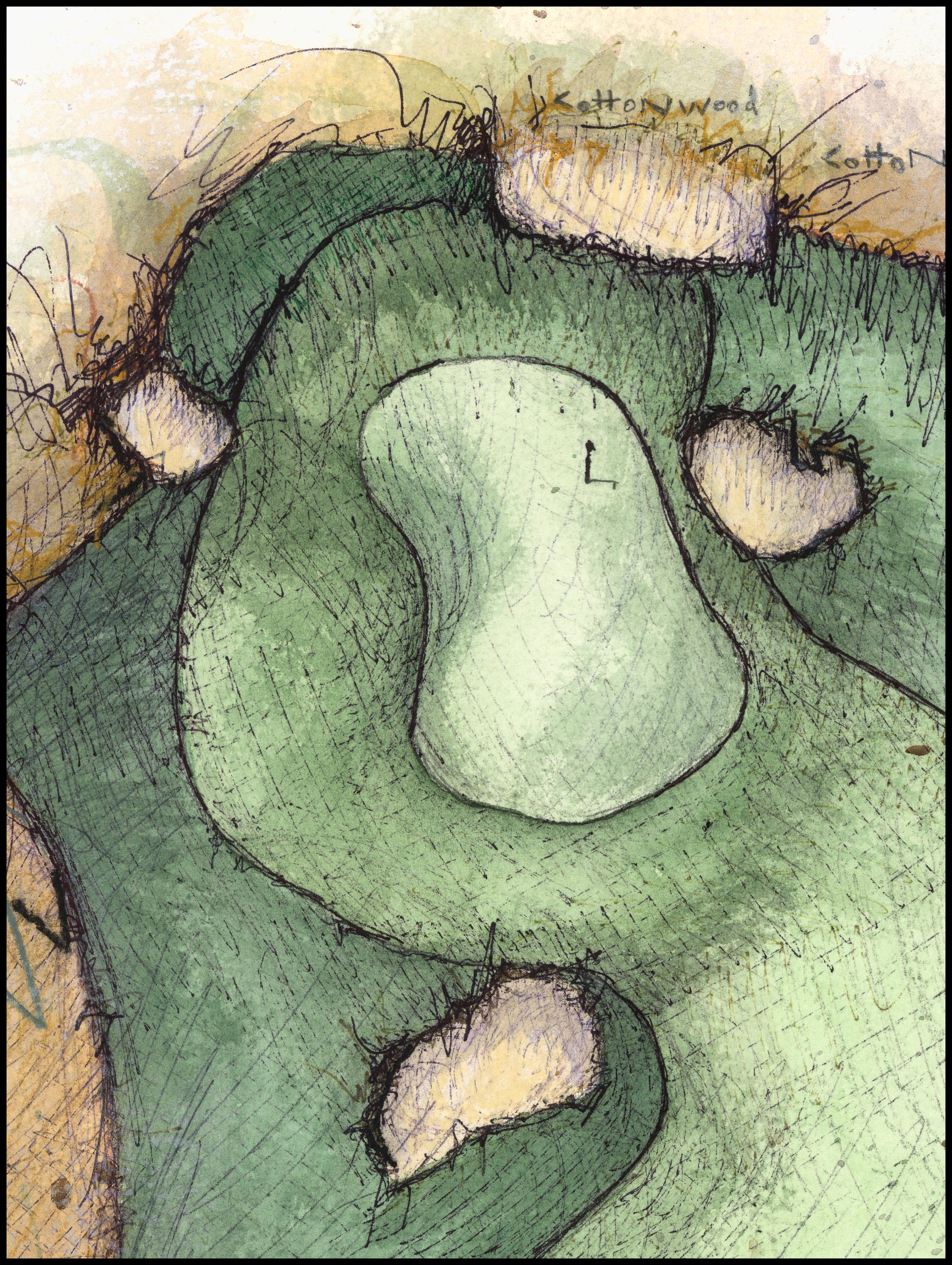Prairie Dunes - Hole #6 "Cedar"