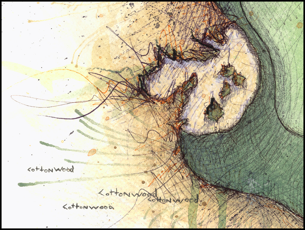 Prairie Dunes - Hole #9 "Meadow Lark"