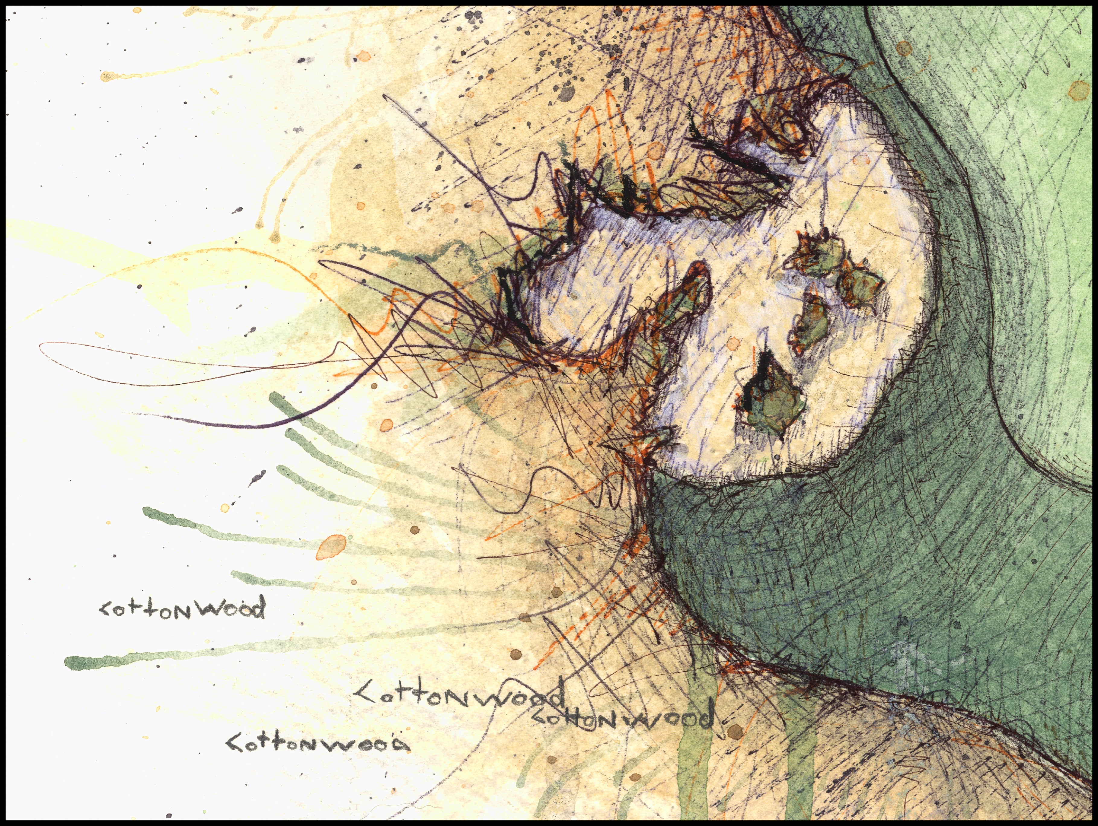 Prairie Dunes - Hole #9 "Meadow Lark"
