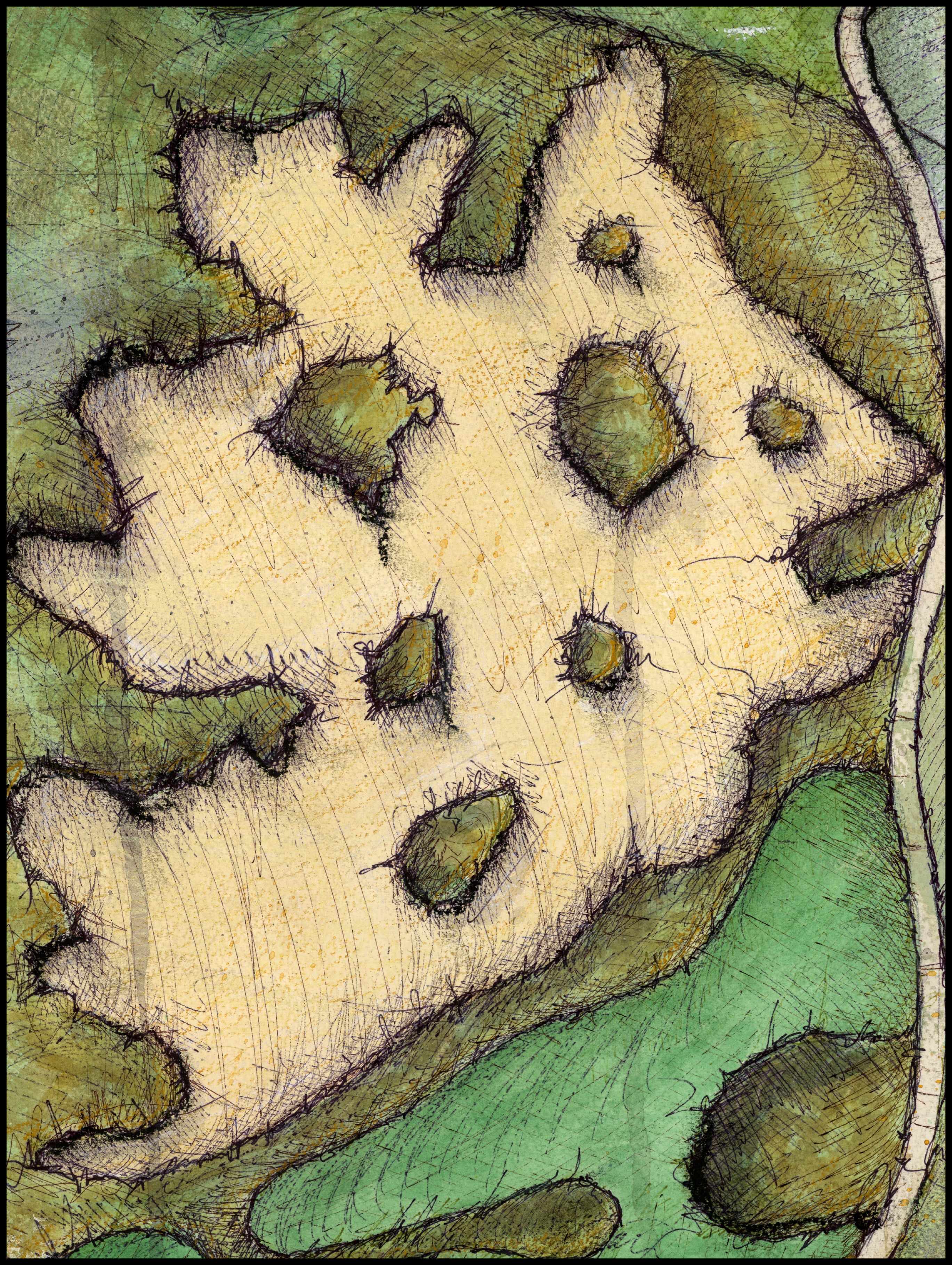 Sweetens Cove - Hole #4 "King"